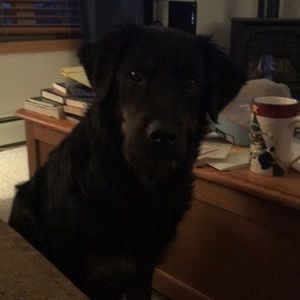 Meet your Posher, Sean